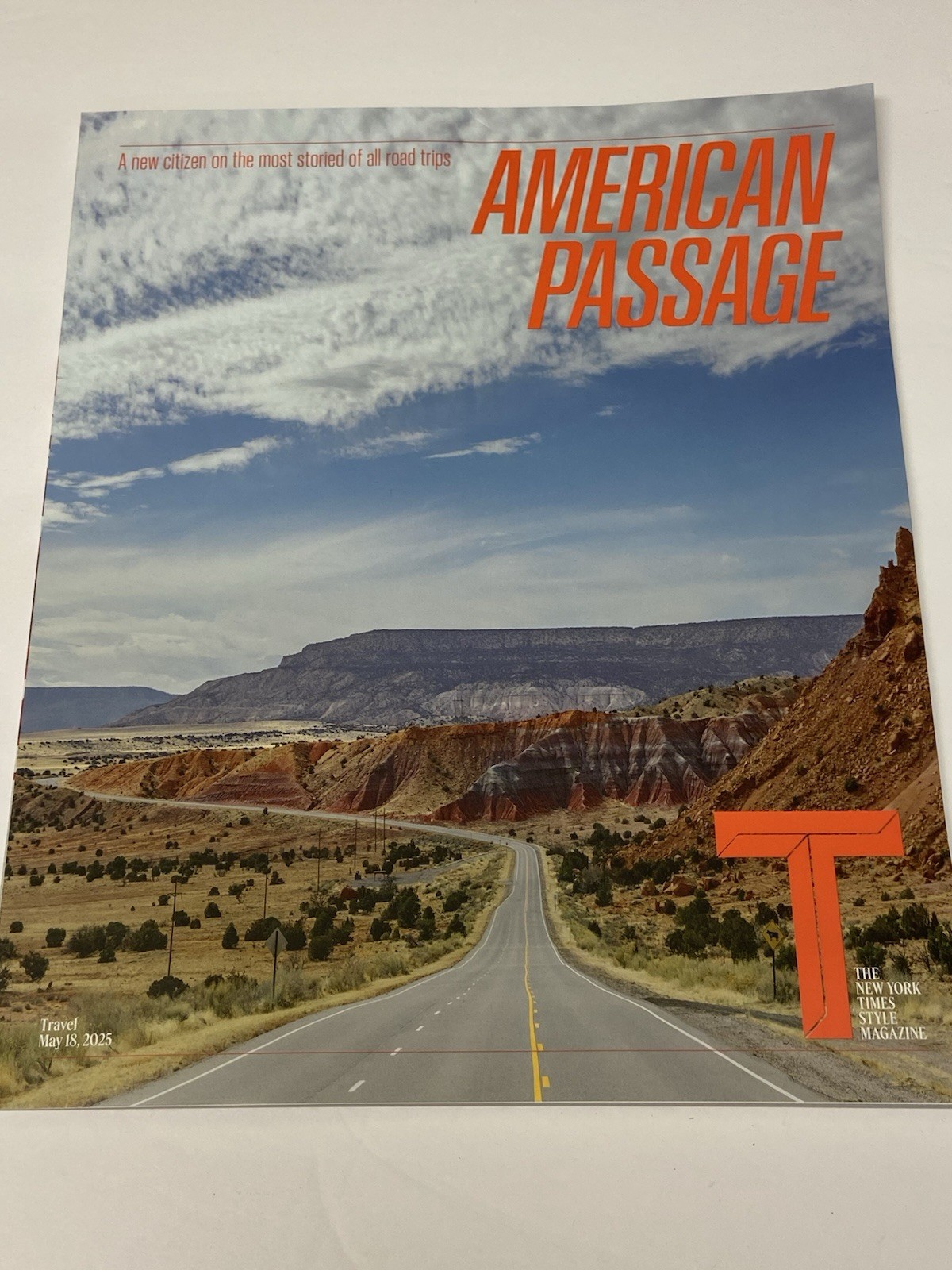 New York Times T Style Magazine May 2025 BRAND NEW Iggy Pop Ads