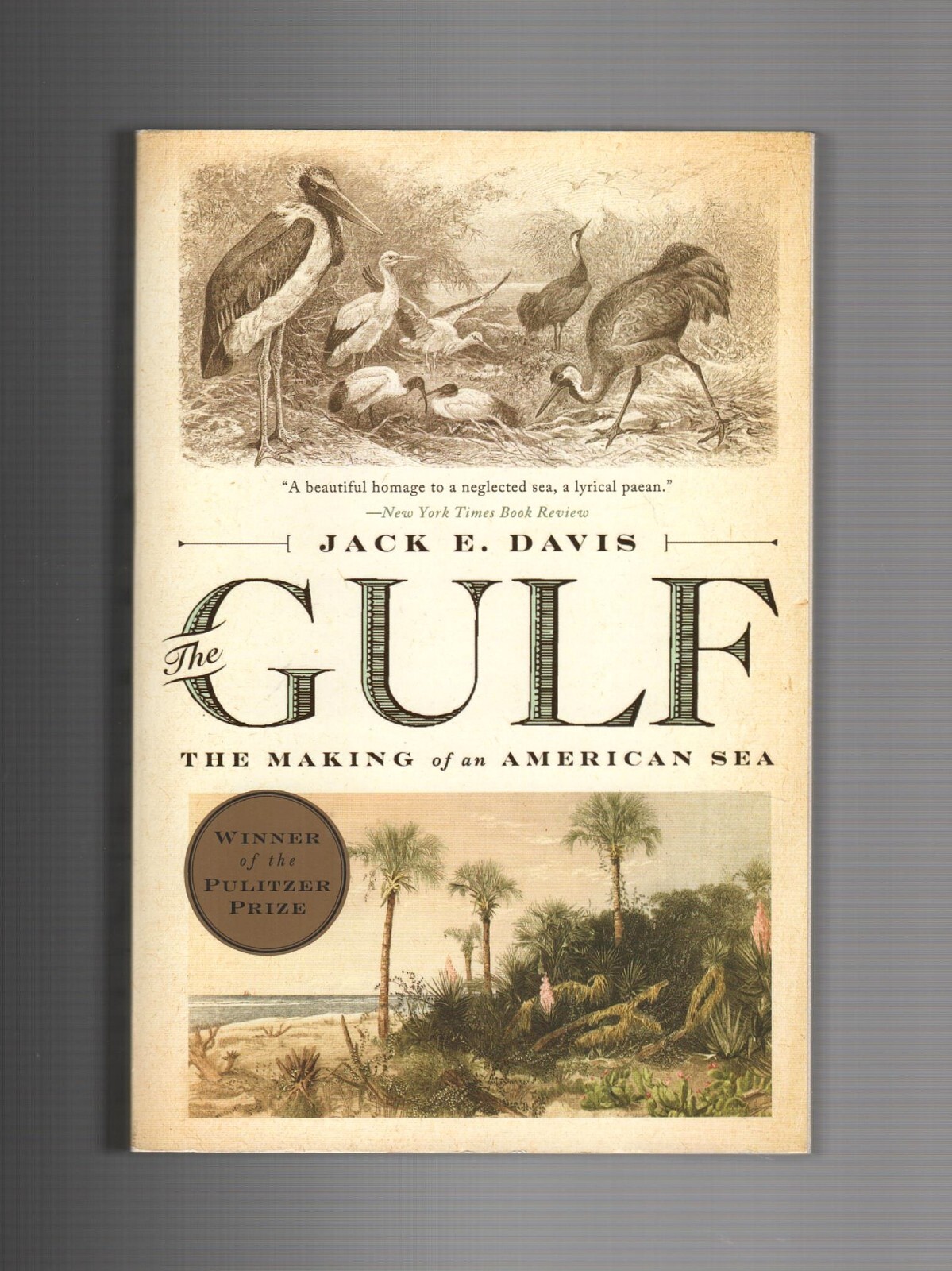 THE GULF: THE MAKING OF AN AMERICAN SEA by Jack E. Davis (2018 Trade Paperback)