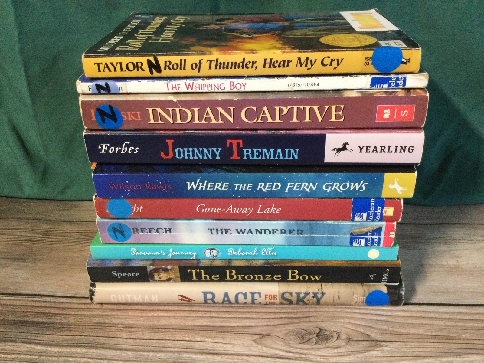 Newbery Honor Chapter Books Lot 10 Homeschool Classroom Teacher Summer Reading