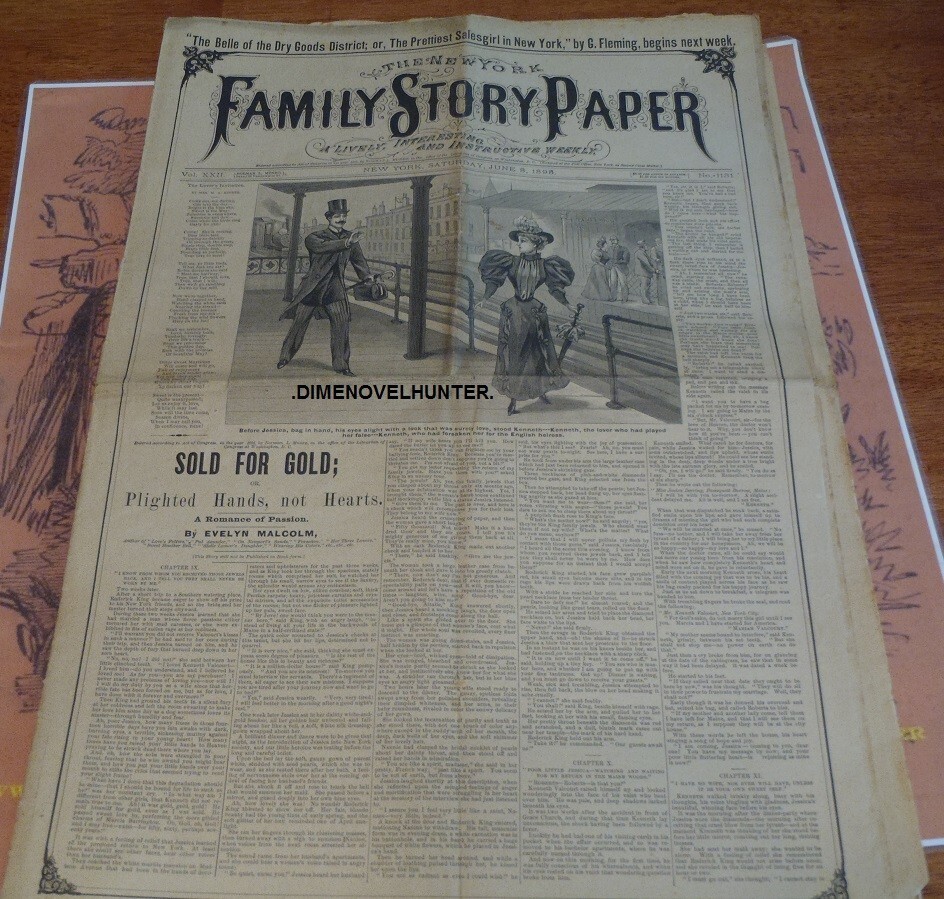 NEW YORK FAMILY STORY PAPER #1131 SCARCE NORMAN MUNRO 1895 STORY PAPER