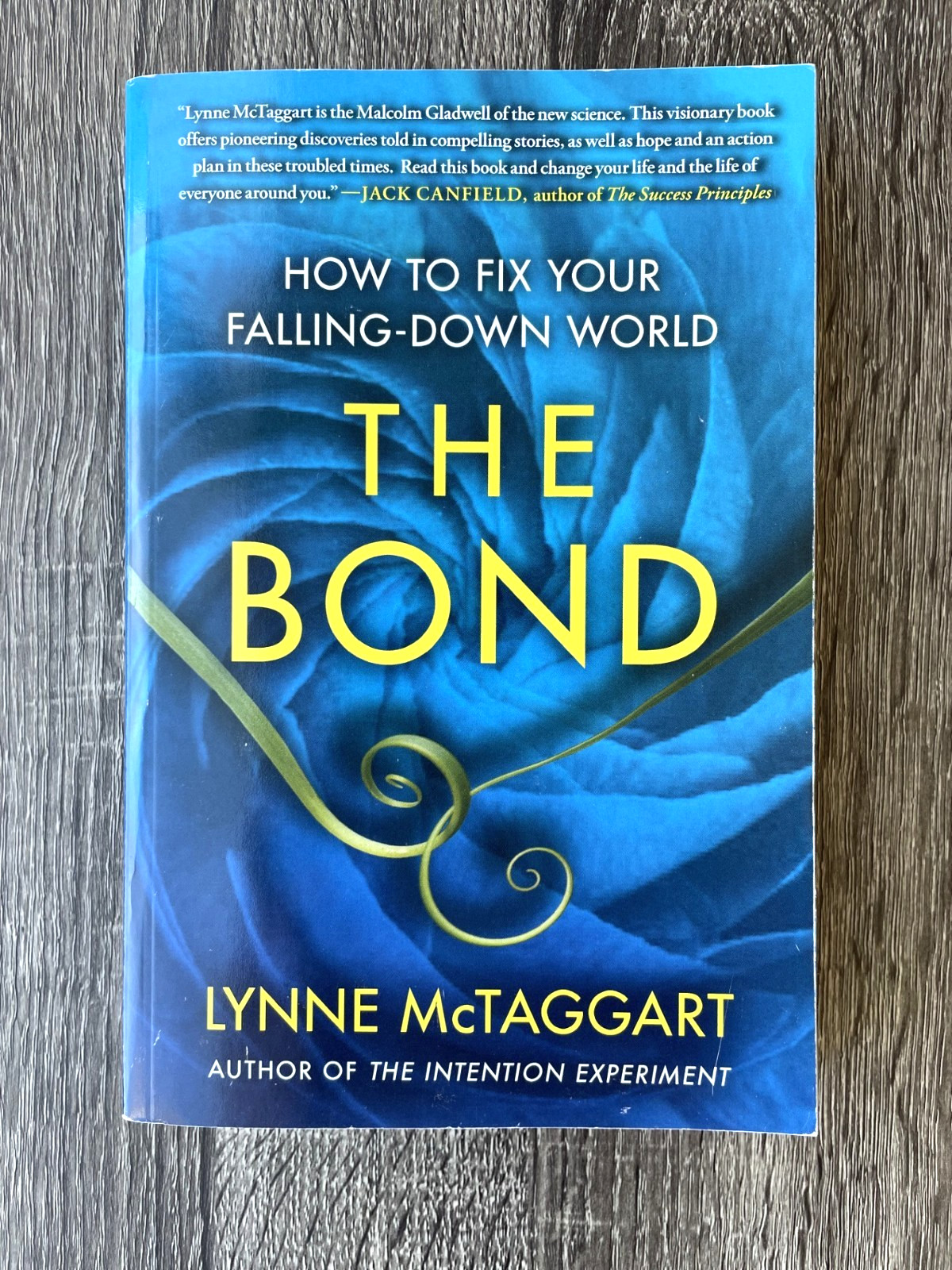 The Bond Lynne McTaggart Paperback Book Self Help Consciousness