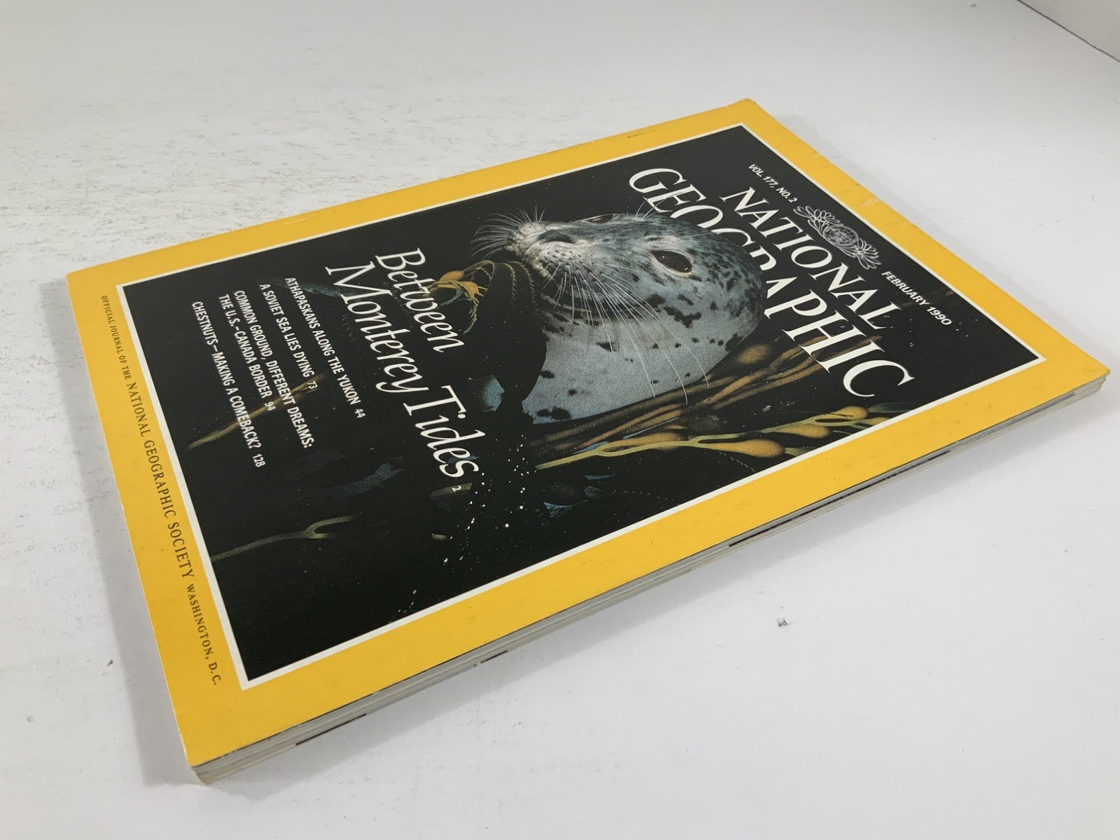 NATIONAL GEOGRAPHIC Magazine Bundle 1988 1989 1990 Holy Land Supplement