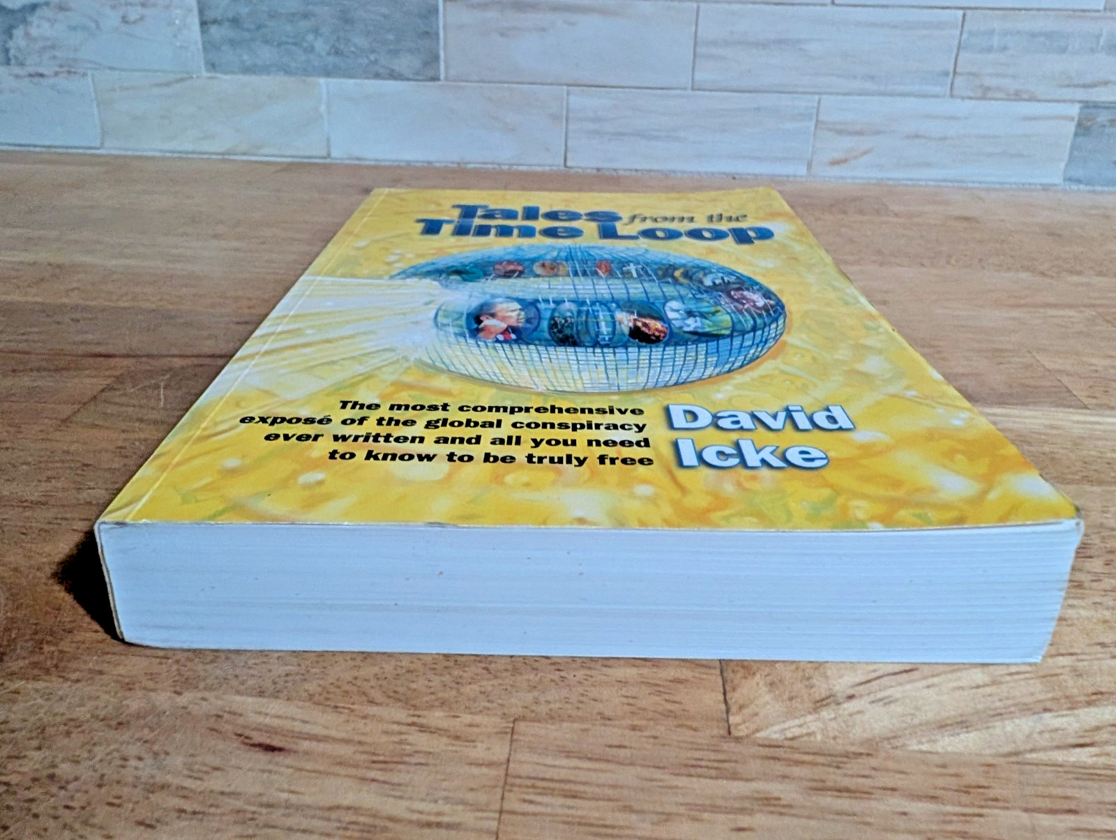 Tales from the Time Loop by David Icke Big Brother Global Conspiracy Book