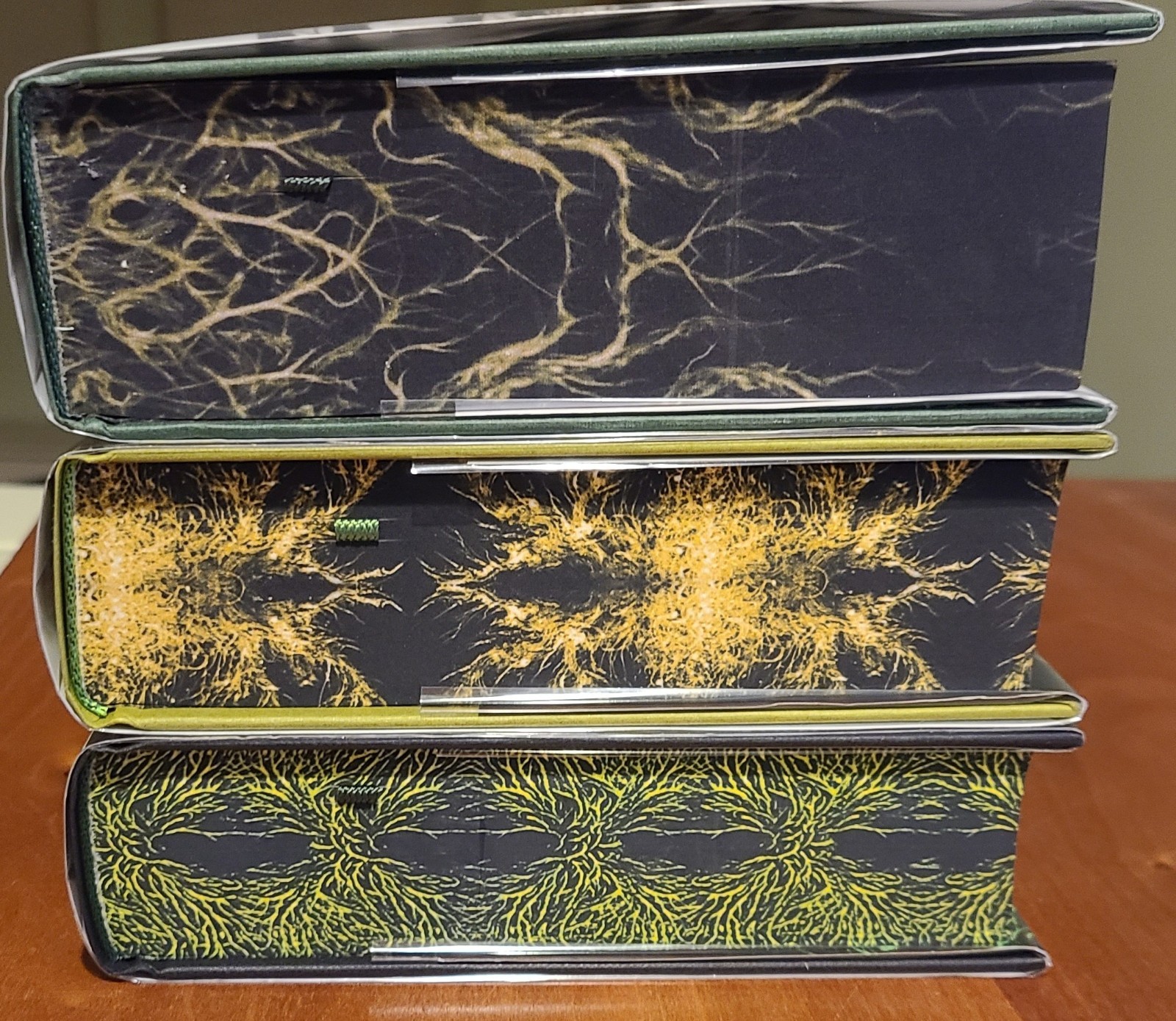 Gods, Warlords, and Heart of Wyrdwood – RJ Barker SIGNED/Numbered Broken Binding