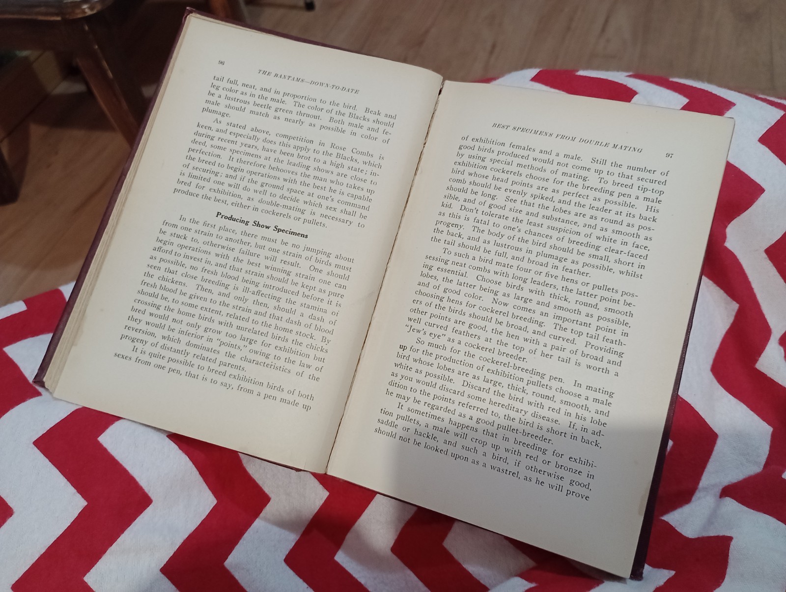 The BANTAMS Down to Date JOSEPH SHAKESPEARE : Antique 1925 Illustrated Hardcover