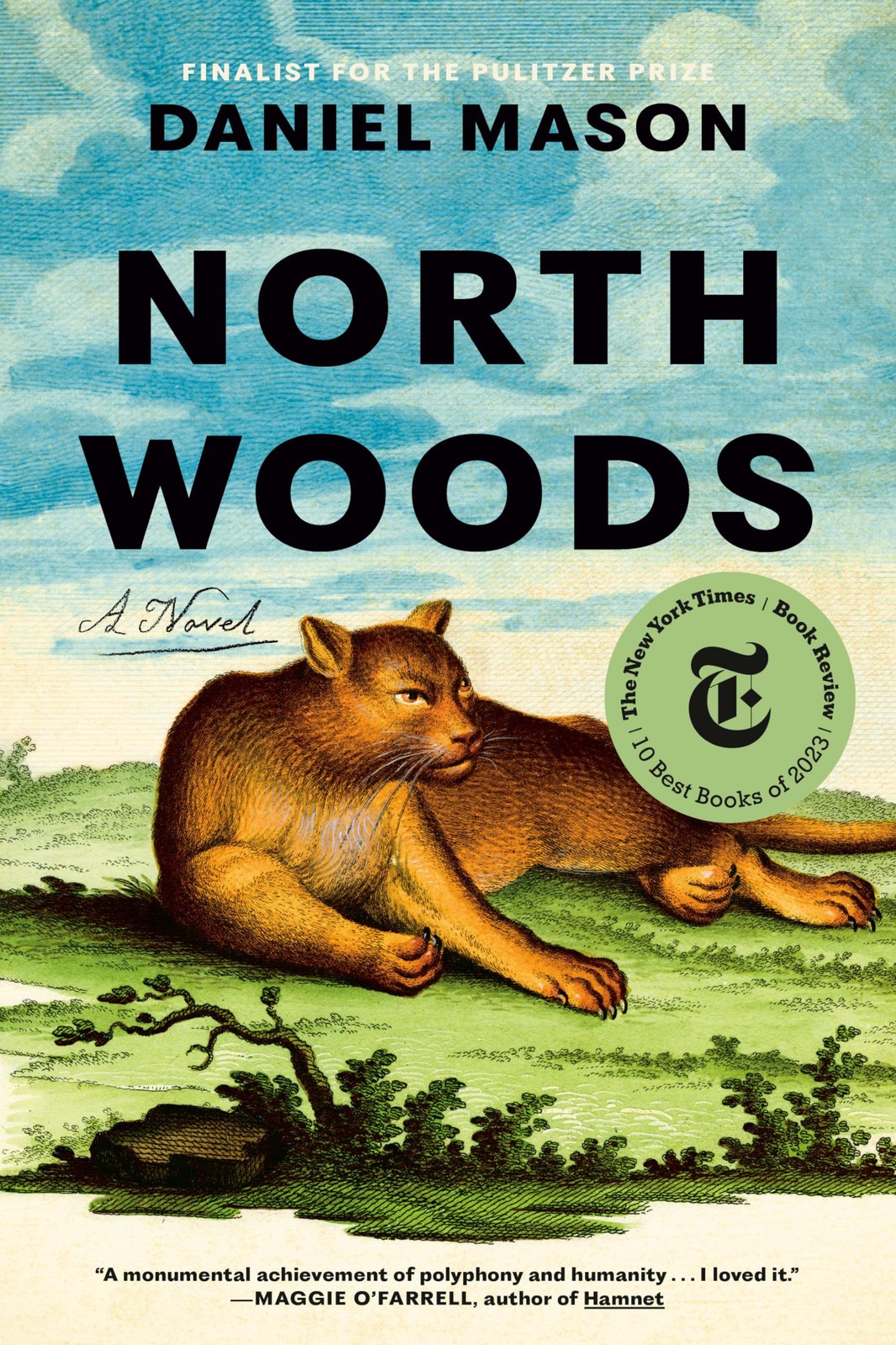 North Woods: A Novel by Mason