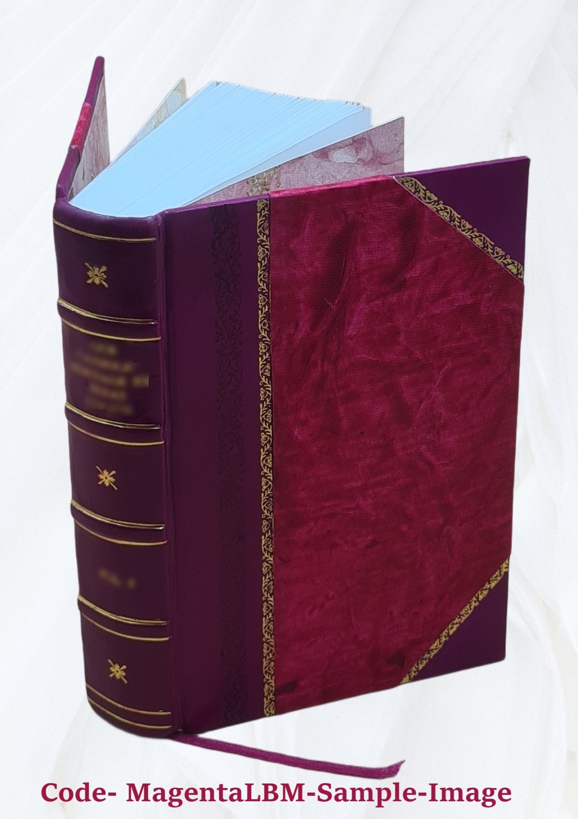 Hermetic Philosophy And Alchemy : A Suggestive Inquiry Into “The [Leather Bound]