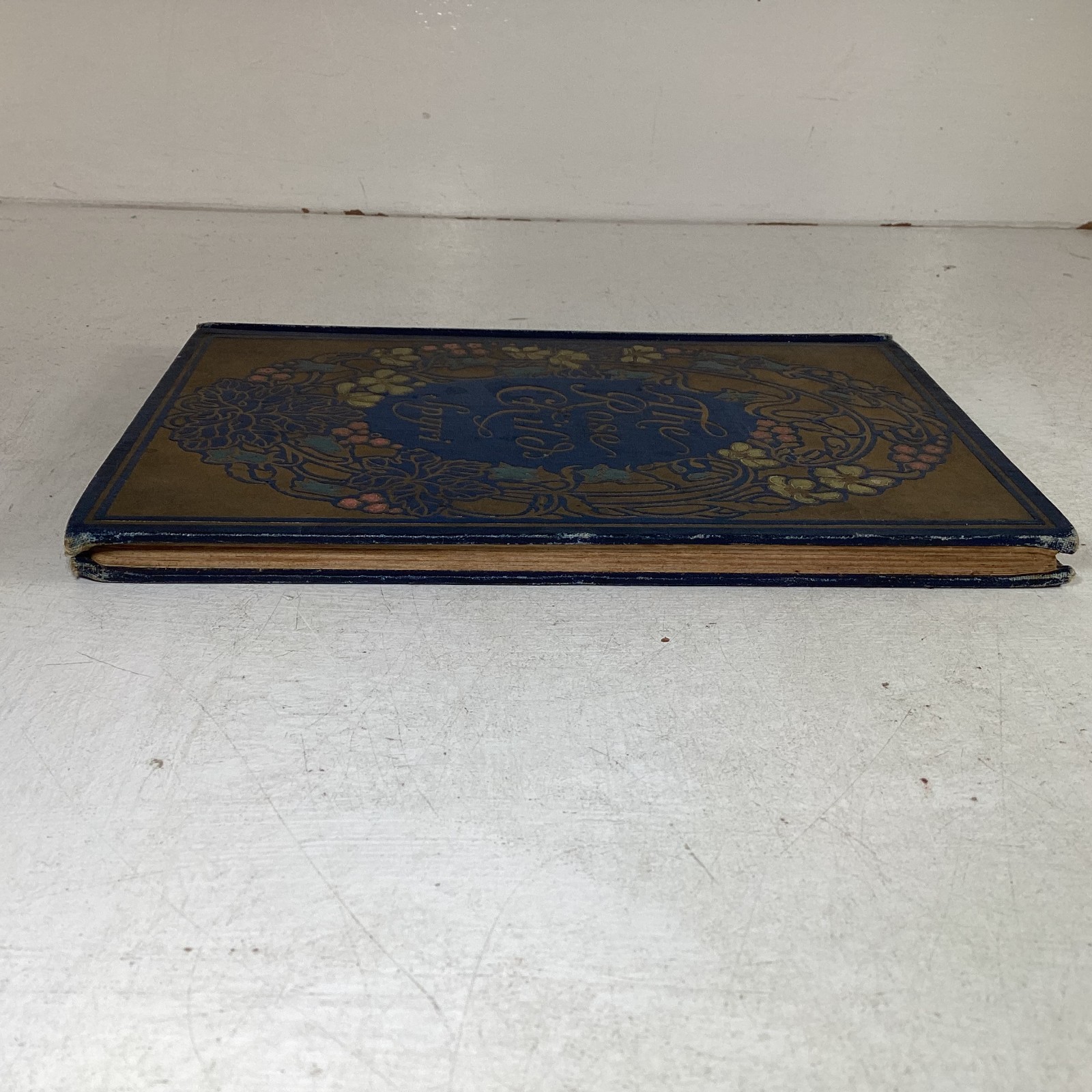 The Rose Child by Johanna Spyri Illustrated 1916 Hardcover, Good