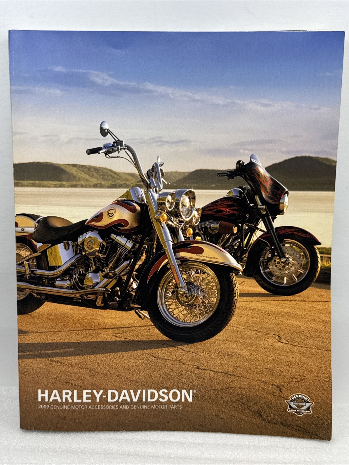 2009 Harley Davidson Genuine Motorcycle Parts and Accessories Catalog 822 Pages