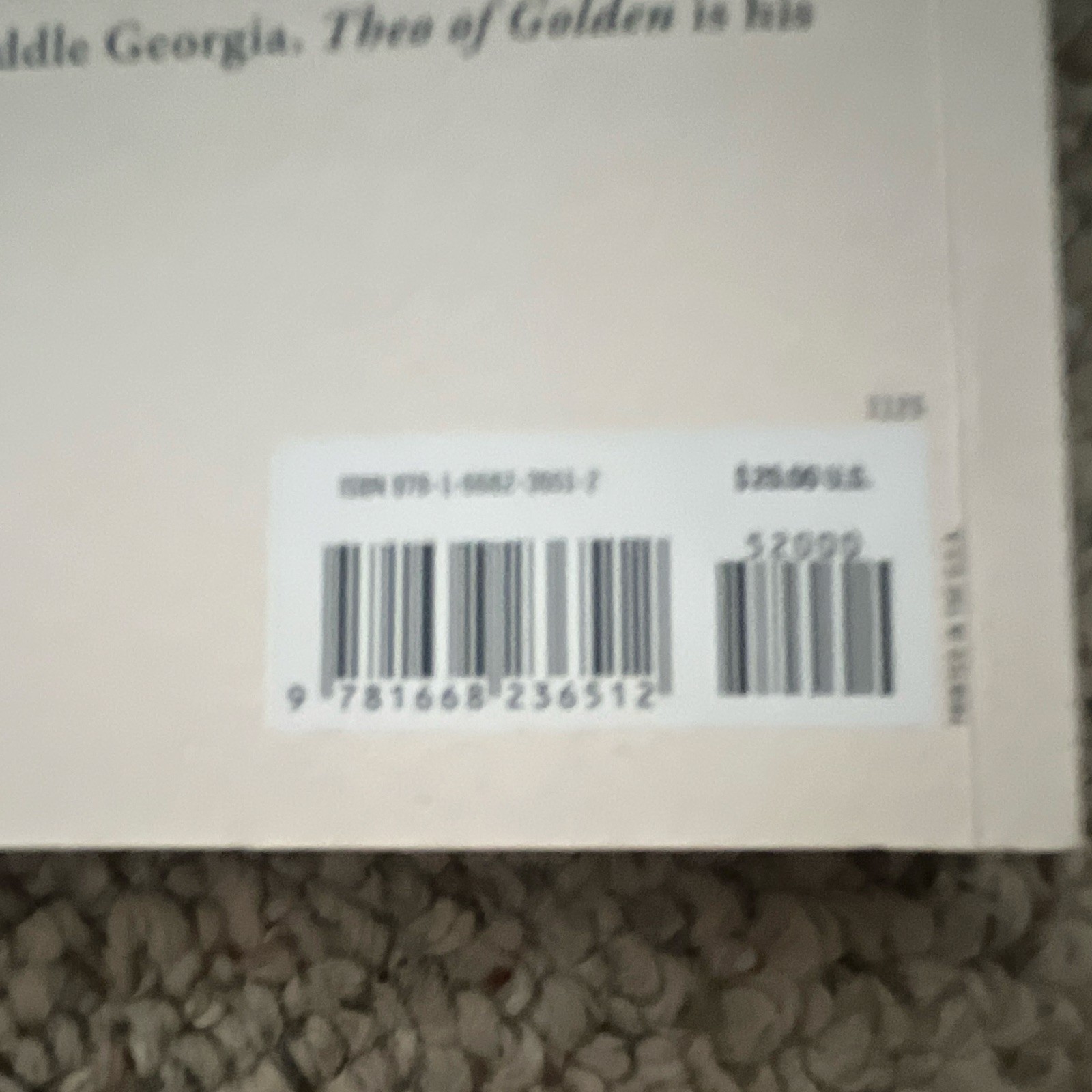 Allen Levi Theo of Golden Paperback Fiction Novel English Atria Paperback