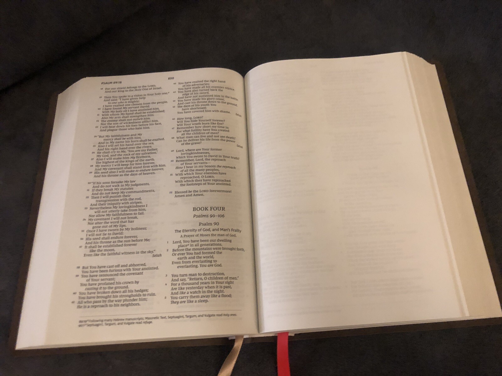 NKJV NEW KING JAMES VERSION interleaved bible cowhide Leather No Markings