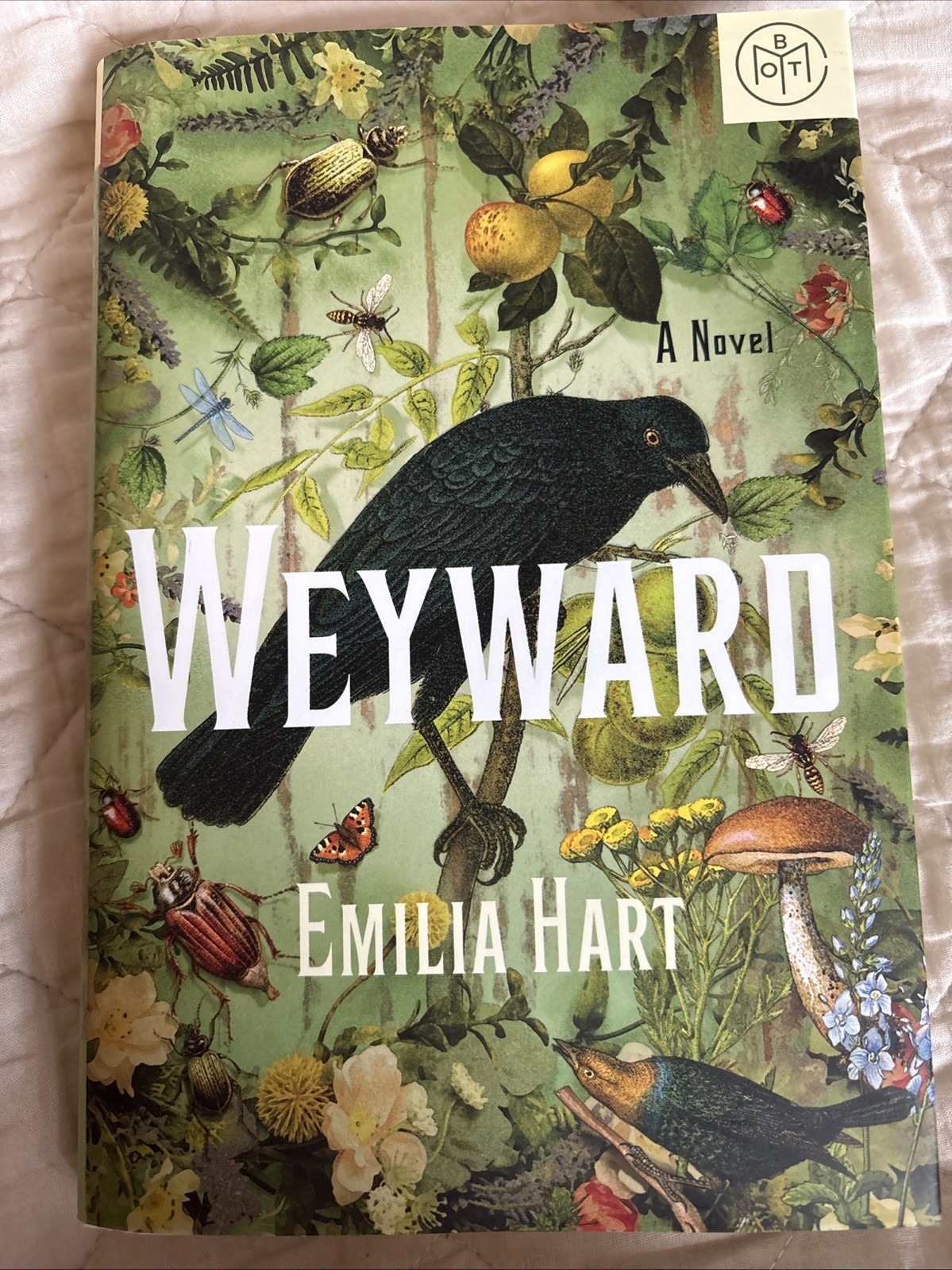 Weyward : A Novel by Emilia Hart (2023, Hardcover)