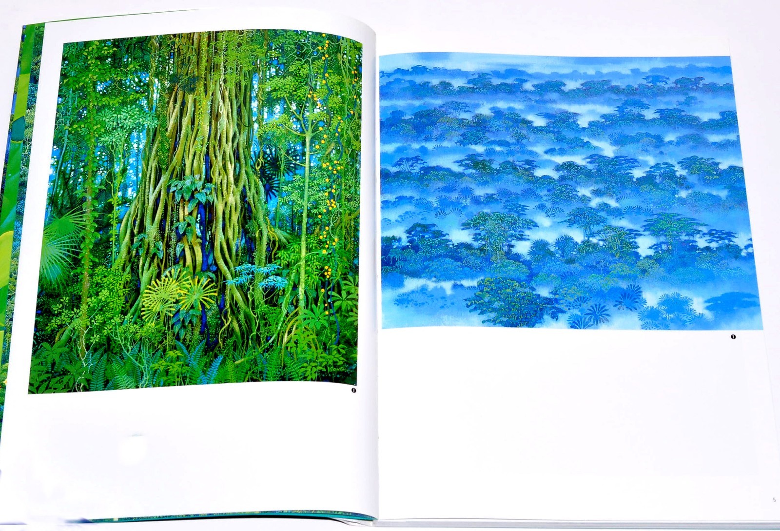 Art works Book of Emerald forest by Hiroo Isono EMERALD FOREST Art Illustration