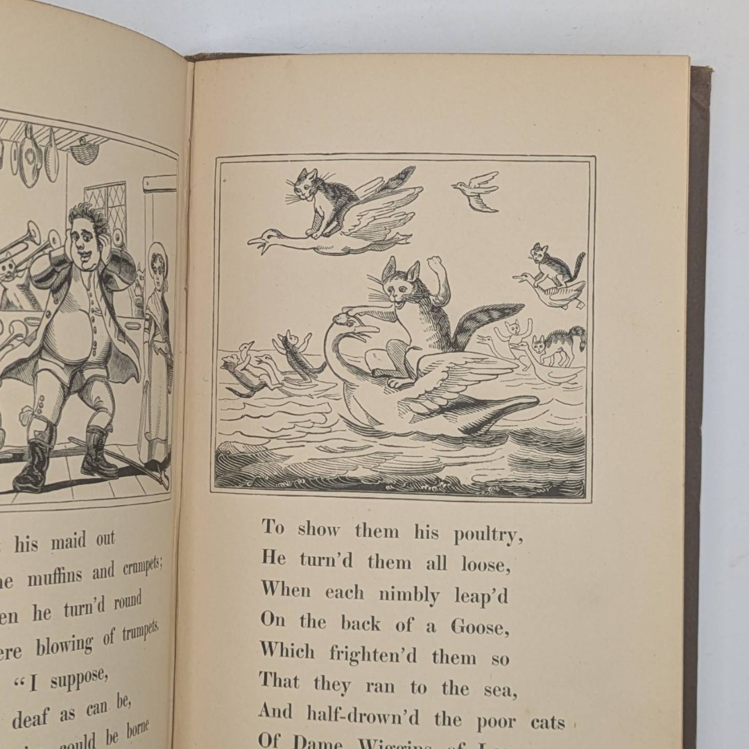 Vintage Book, Dame Wiggins, Illustrated, George Allen, 1885