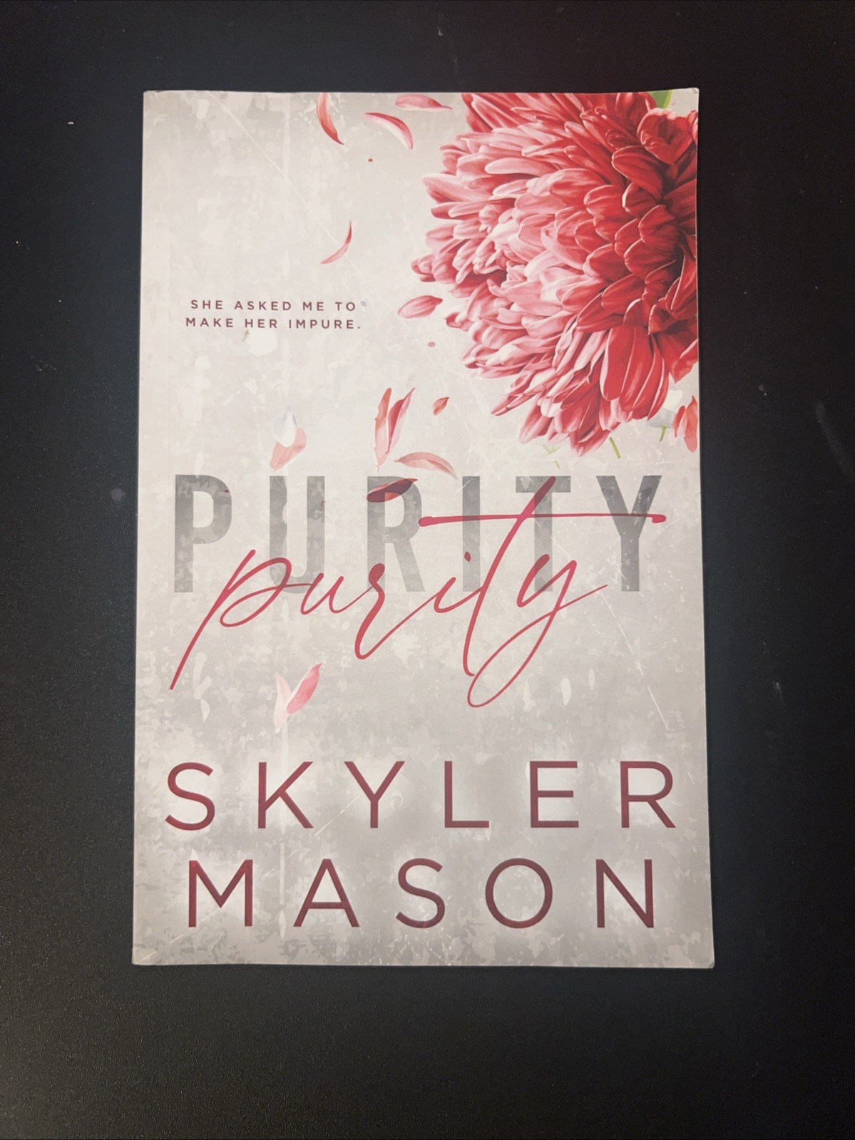 Purity by Skyler Mason Paperback Book Like New
