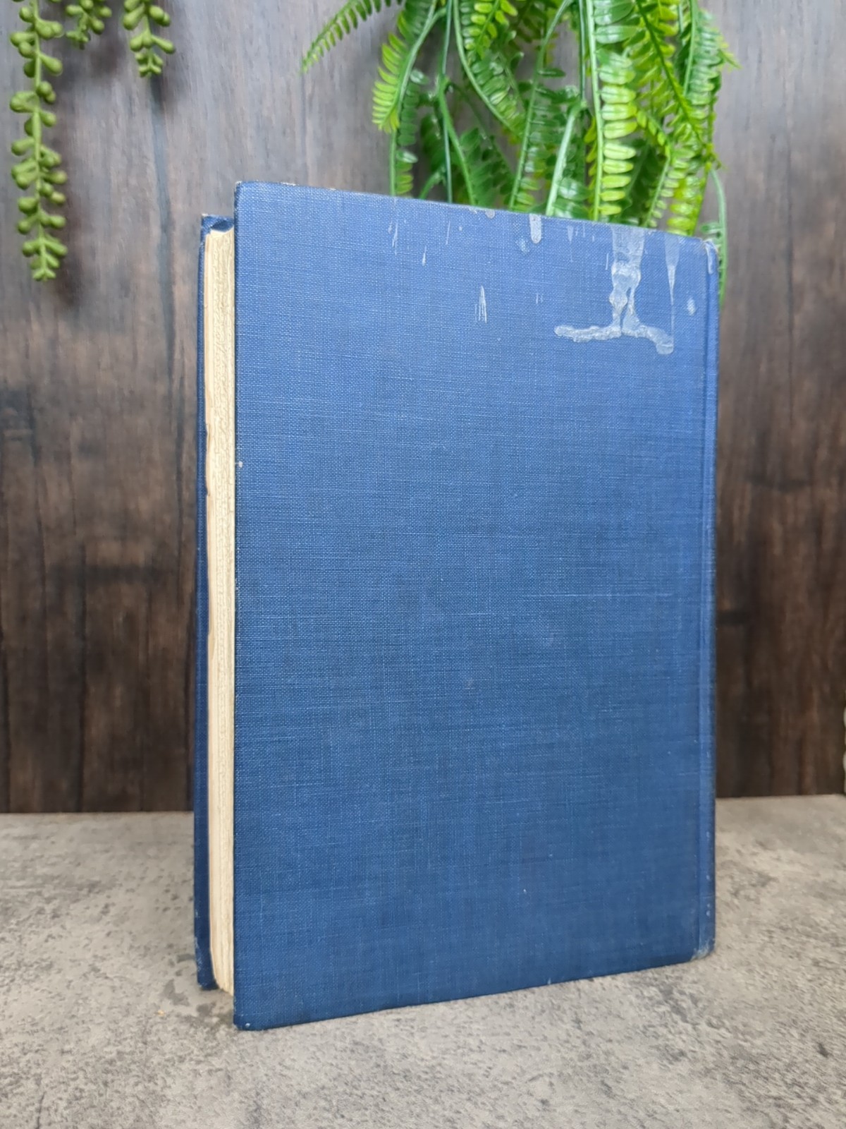 Constantinople Settings And Traits H.G Dwight 1926 SIGNED Hardcover