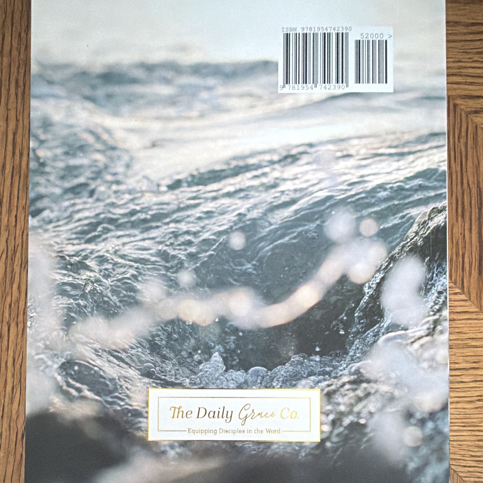 The Daily Grace Co. Mercy in the Storm Joanna Kimbrel PB Bible Study Jonah