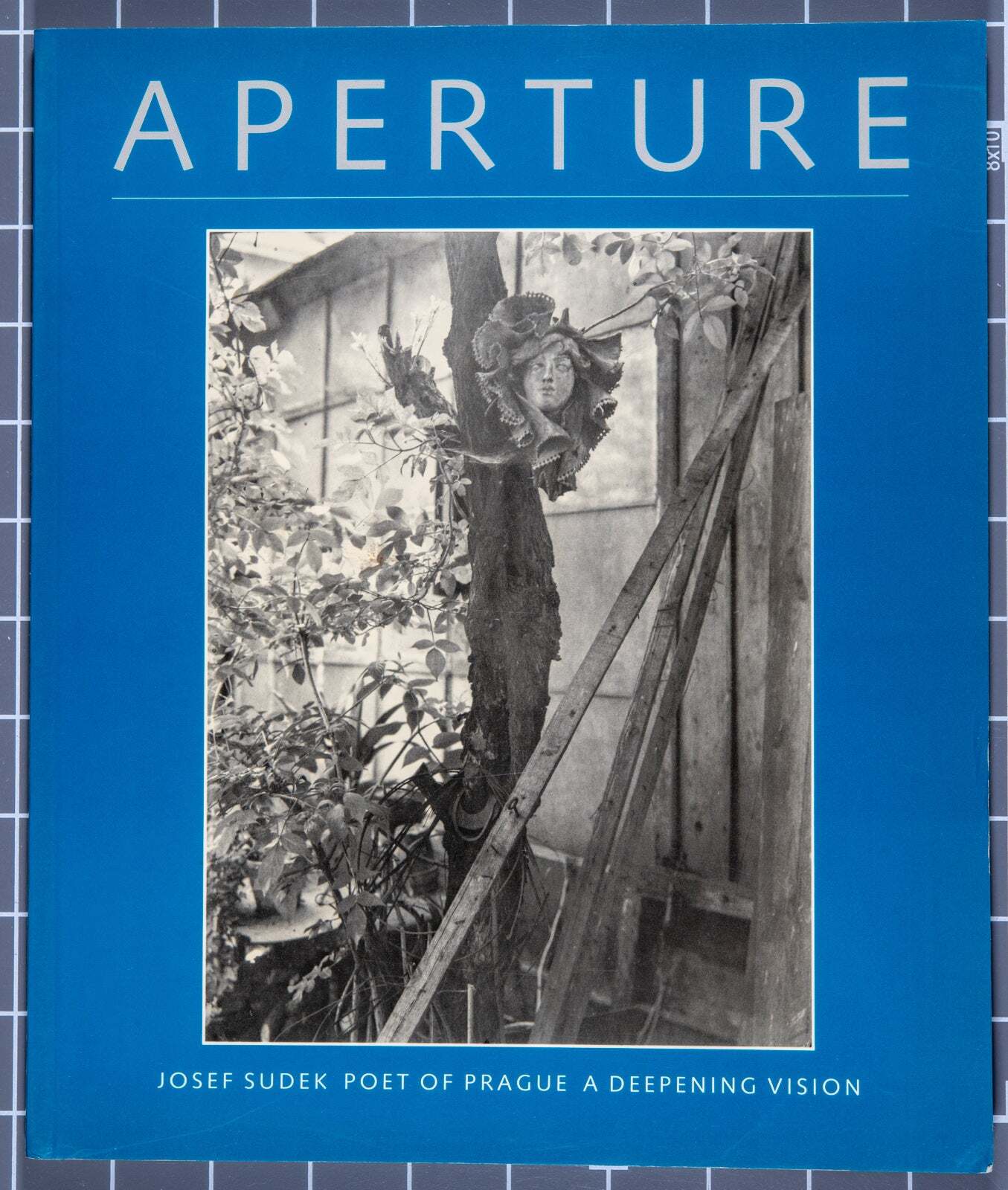 Michael E Hoffman / Aperture 118 Josef Sudek Poet of Prague A Deepening Vision