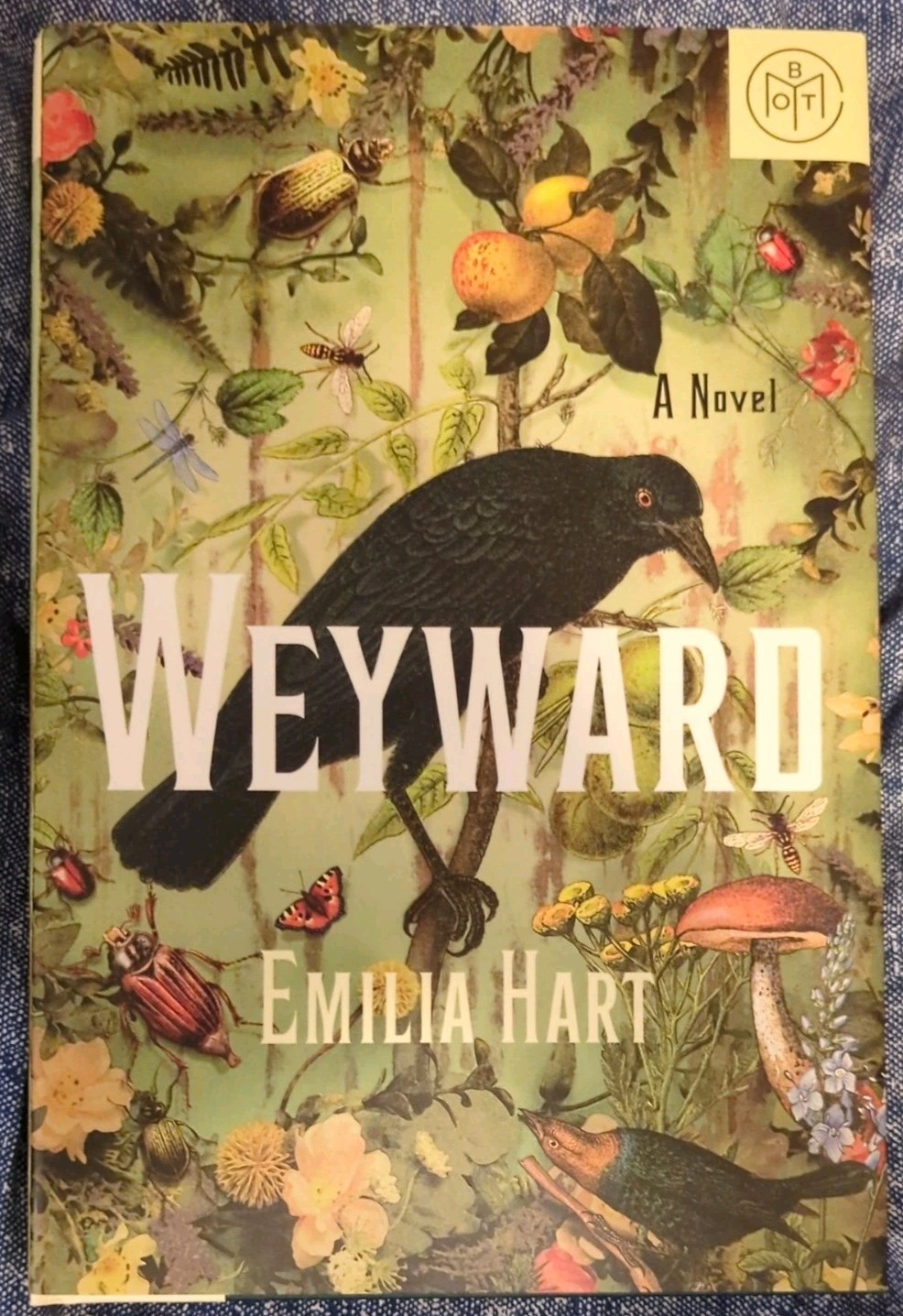 Weyward: A Novel by Emilia Hart (2023, Hardcover)