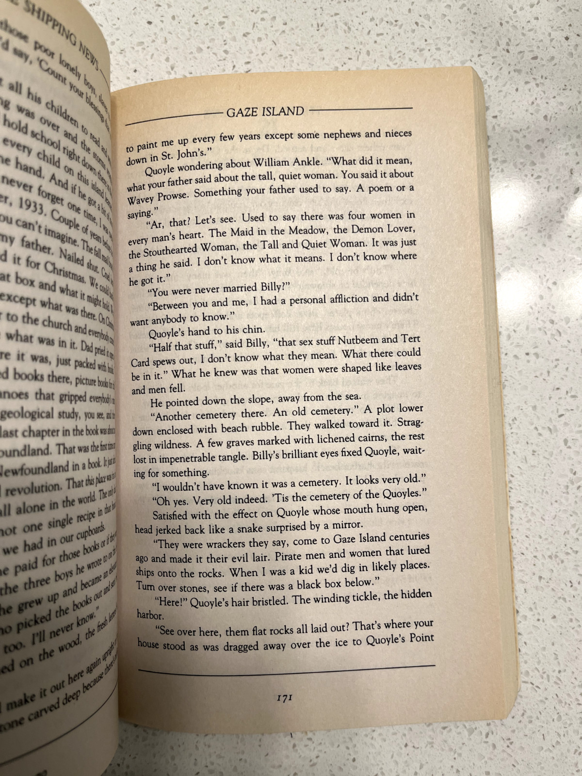 The Shipping News by Annie Proulx (1994, Paperback Book) Pulitzer Prize Winner