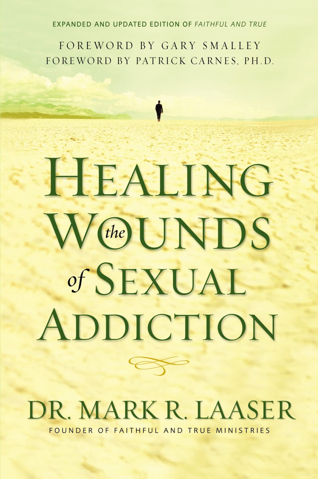Healing the Wounds of Sexual Addiction: Discover the Practical and Spiritual…