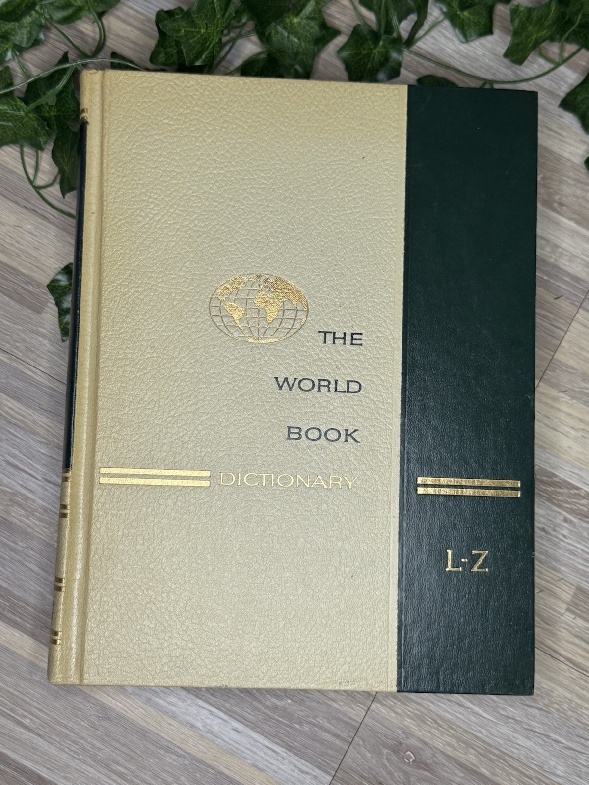 The World Book Dictionary L-Z, Published In 1966, Vintage