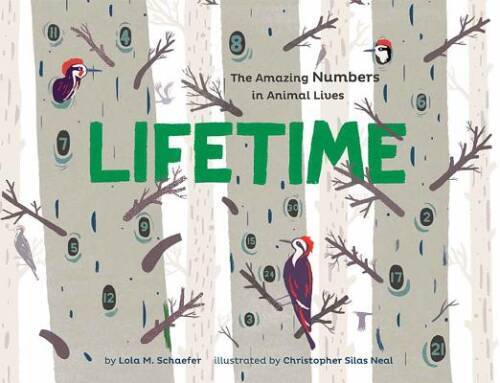 Lifetime: The Amazing Numbers in Animal Lives – Hardcover – GOOD