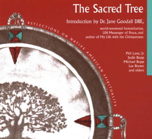 Sacred Tree: Reflections on Native American Spirituality – Paperback – GOOD