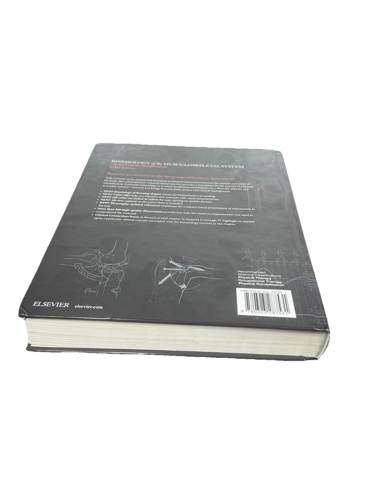 Kinesiology of the Musculoskeletal System : Foundations for Rehabilitation