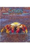 Crabs (Pebble Books) – Schaefer, Lola M. – Good – See condition notes