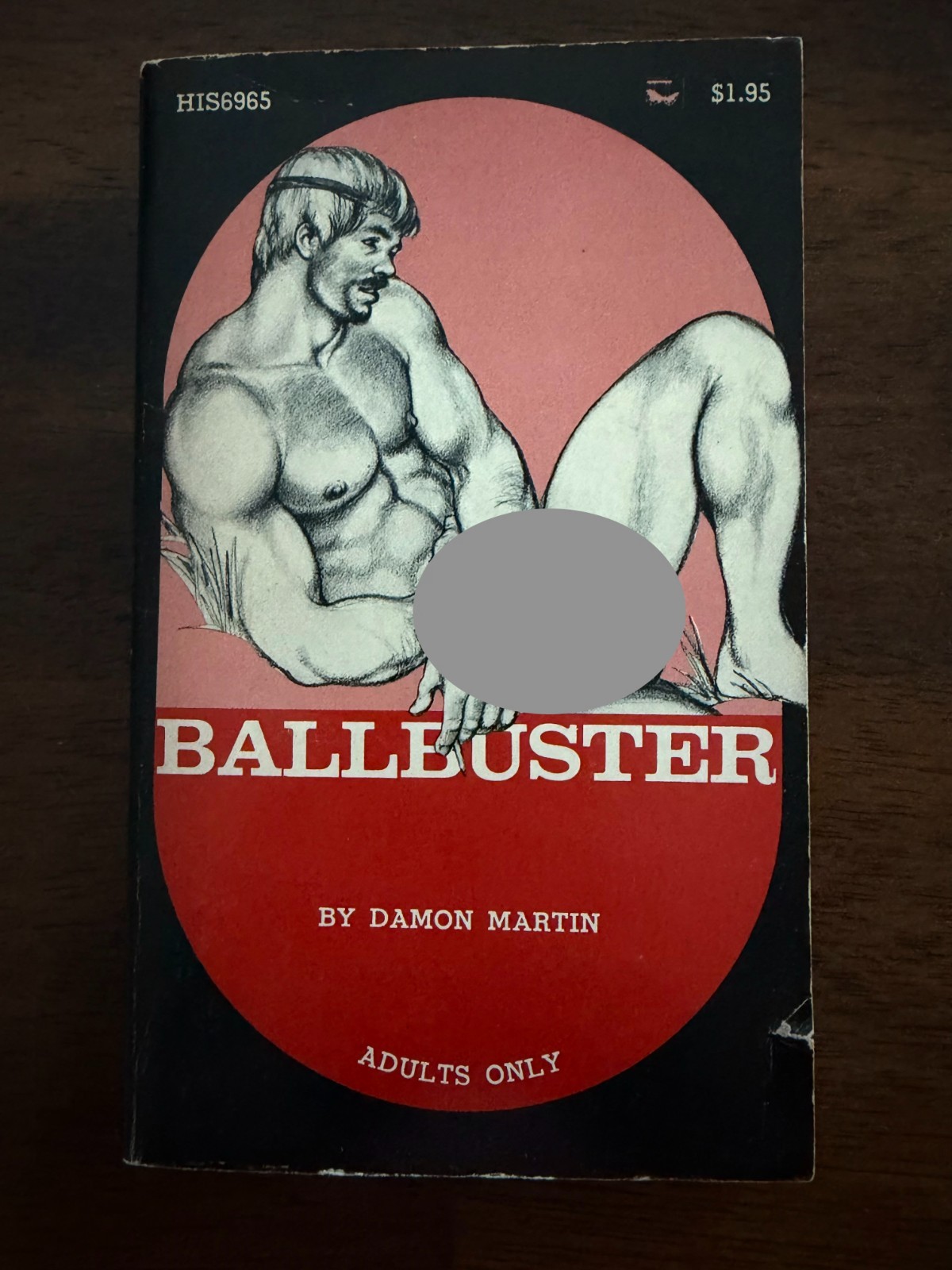 BALLBUSTER by Damon Martin HIS6965 Gay Pulp Paperback 1973 RARE VG see pics