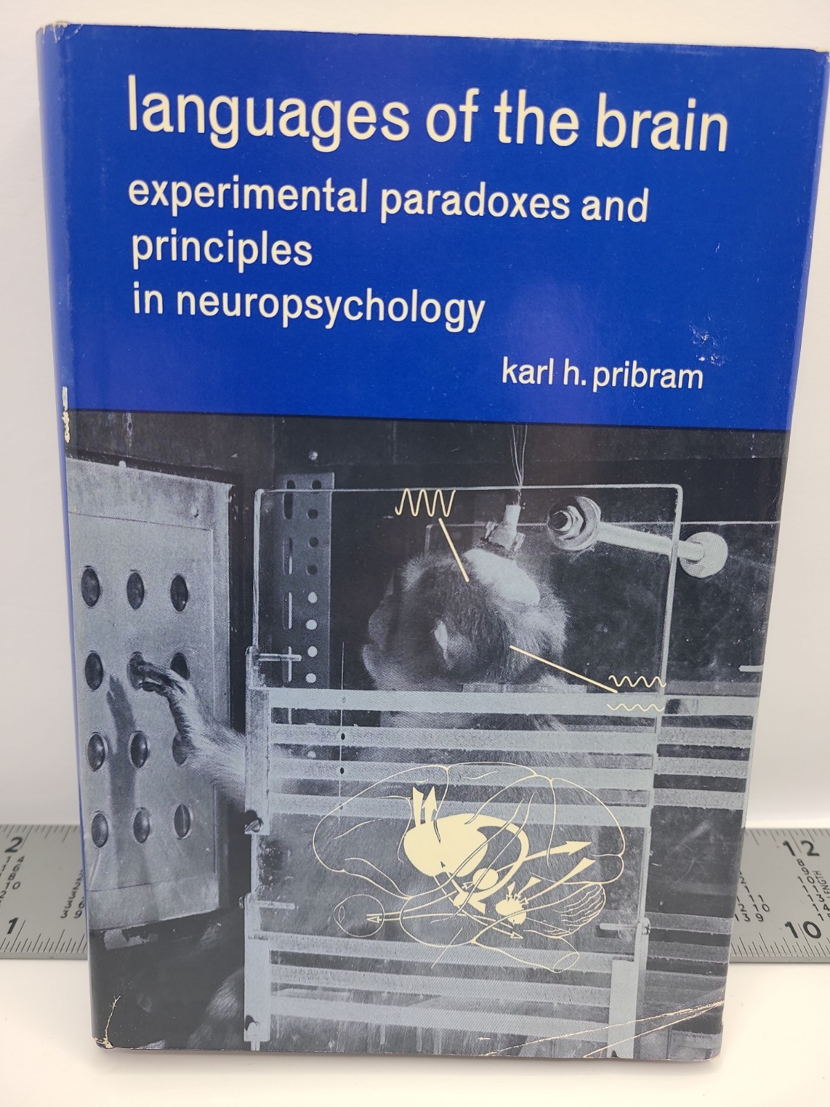Languages of the Brain Experimental Paradoxes and Principles in Neuropsychology
