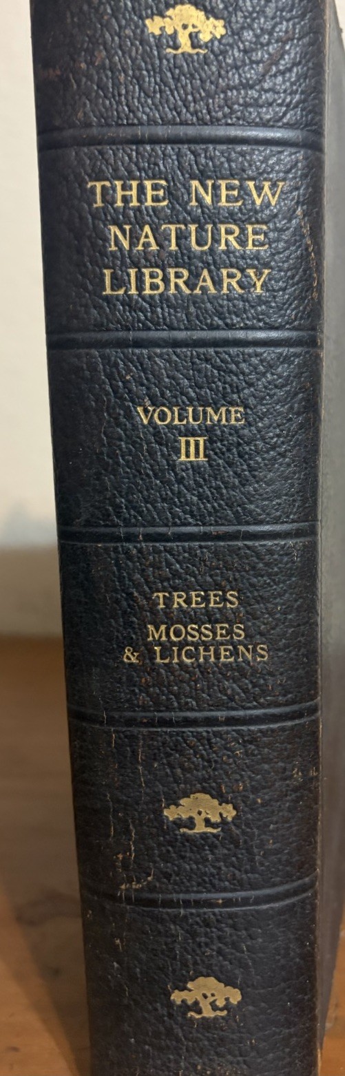 1914 The Tree Book Julia Ellen Rogers New Nature Library Vol III Leather