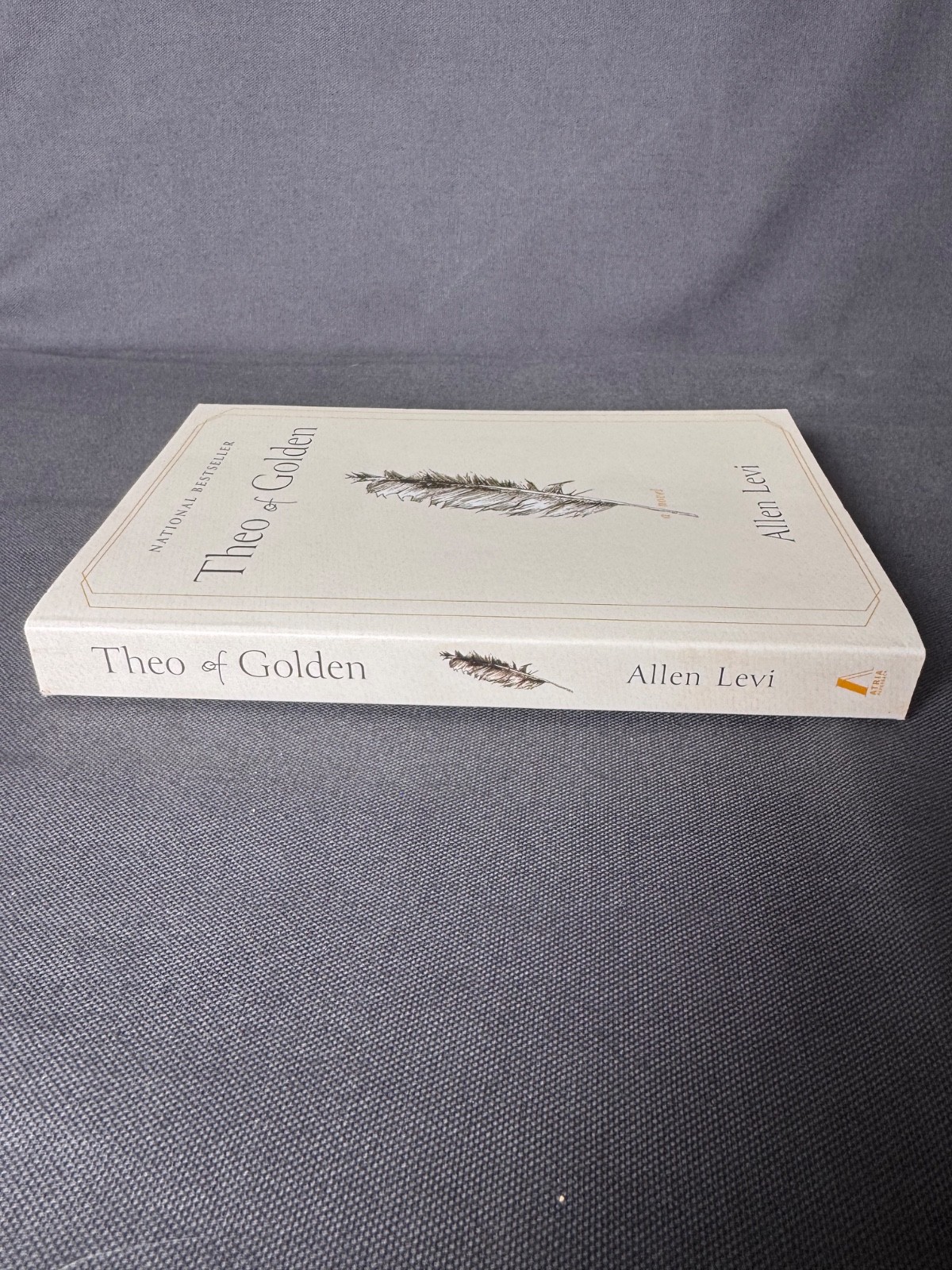 Theo of Golden Allen Levi Paperback Novel National Bestseller Literary Fiction
