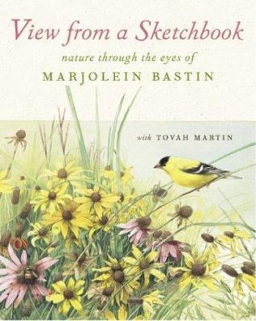 View from a Sketchbook : Nature Through the Eyes of Marjolein Bas