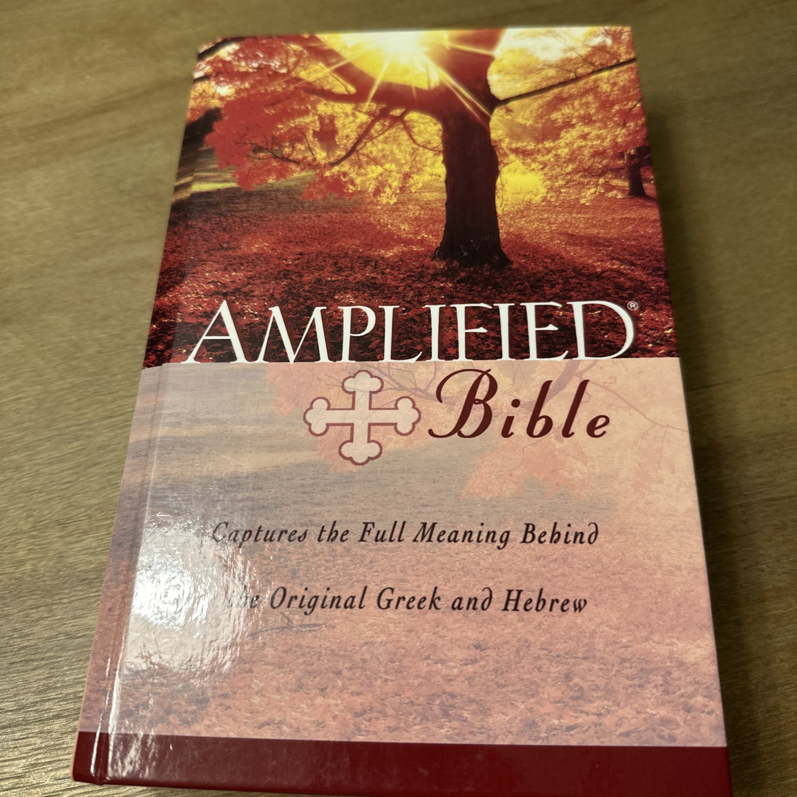 Amplified Bible by Zondervan Staff (1987, Hardcover)