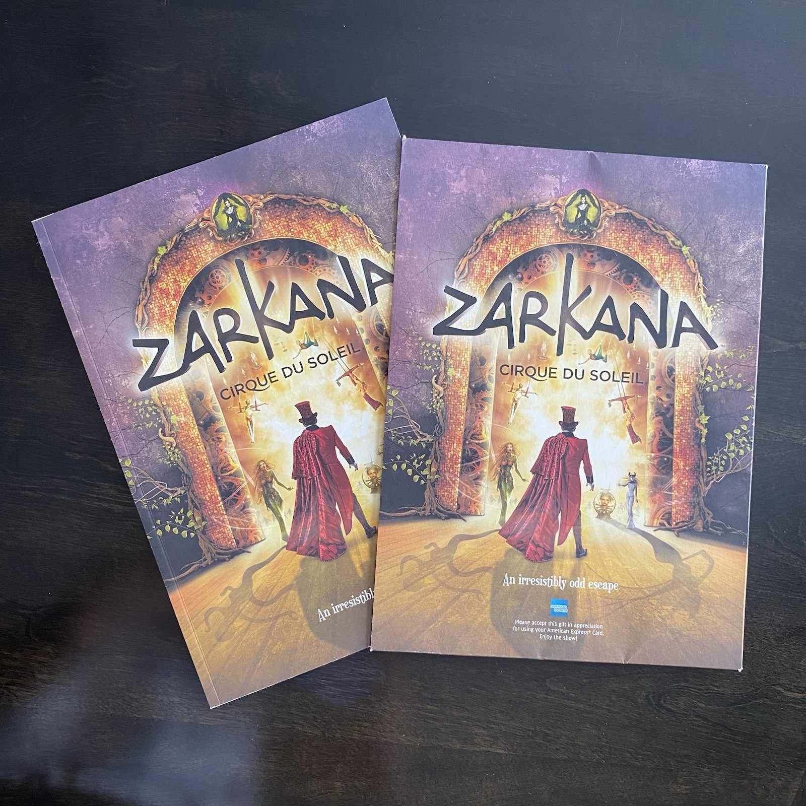 Cirque du Soleil Zarkana Souvenir Program with Sleeve