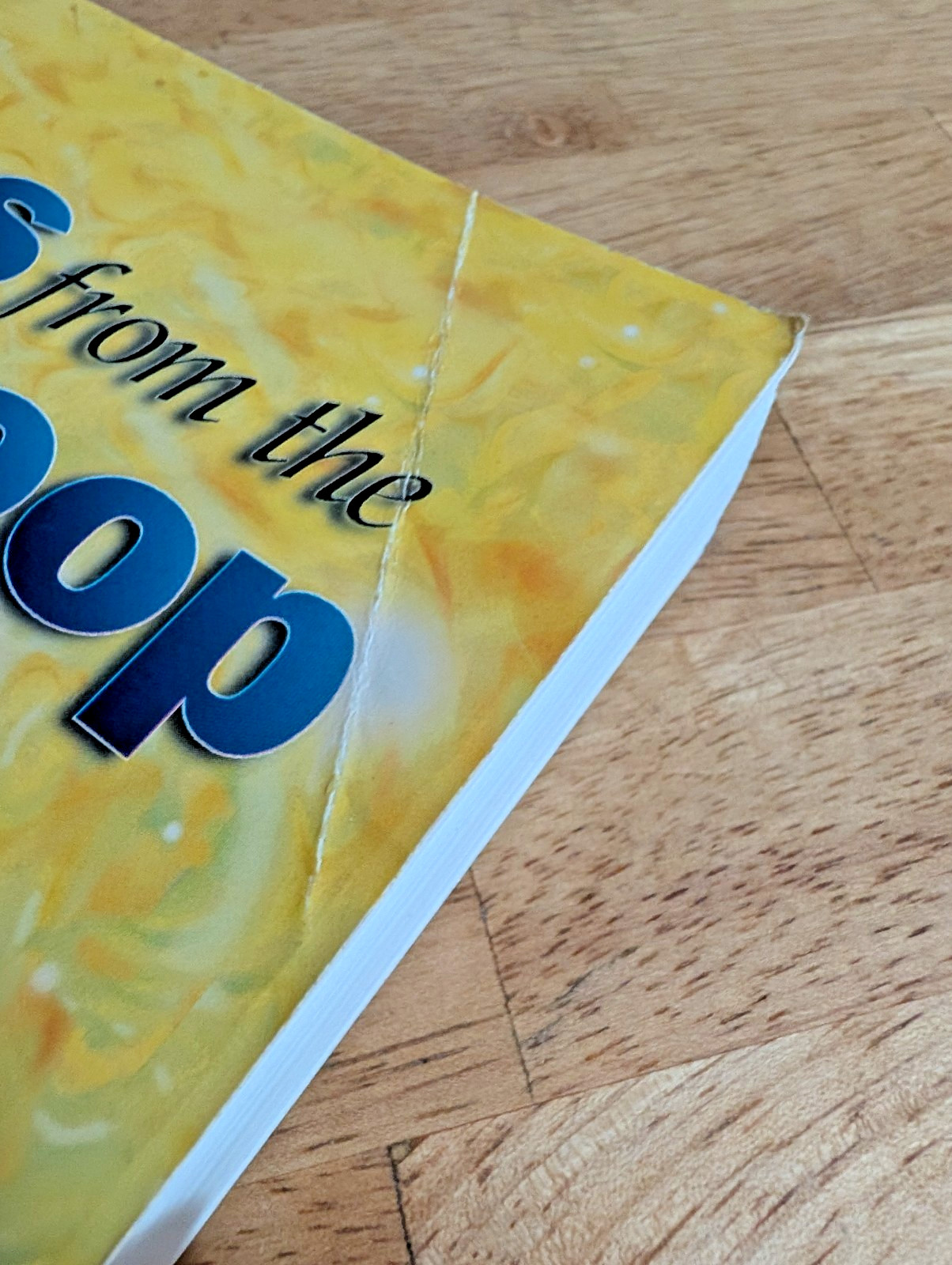 Tales from the Time Loop by David Icke Big Brother Global Conspiracy Book