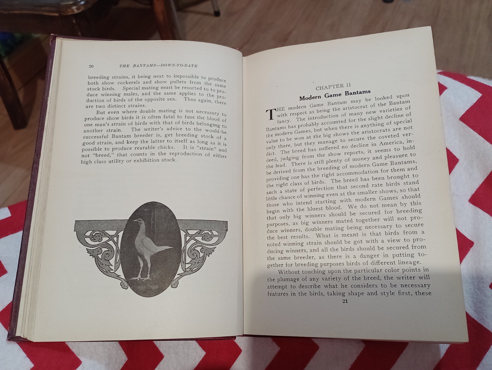 The BANTAMS Down to Date JOSEPH SHAKESPEARE : Antique 1925 Illustrated Hardcover