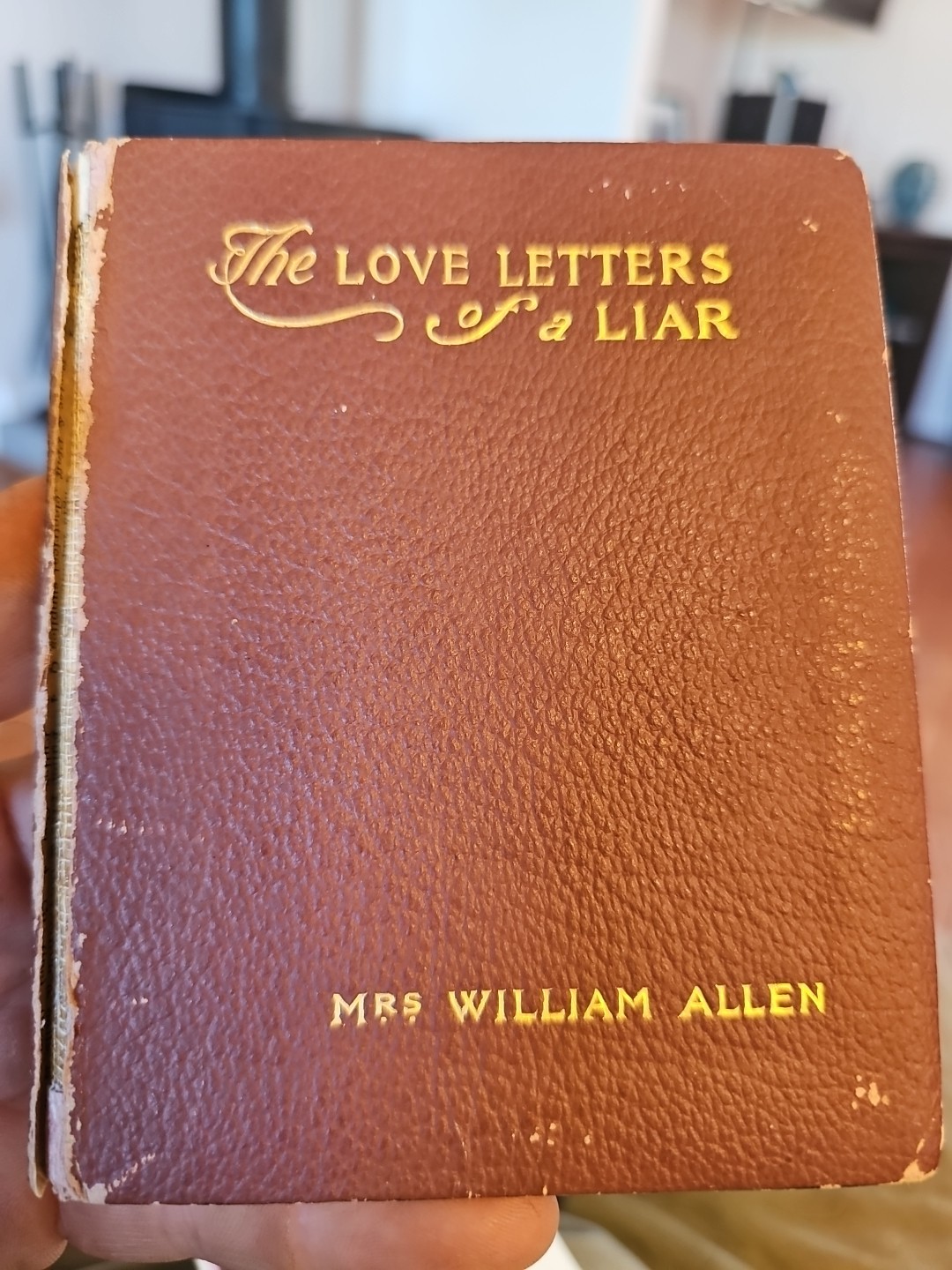 The Love Letters of a Liar by Mrs William Allen 1900 Signed Message Mary H Allen