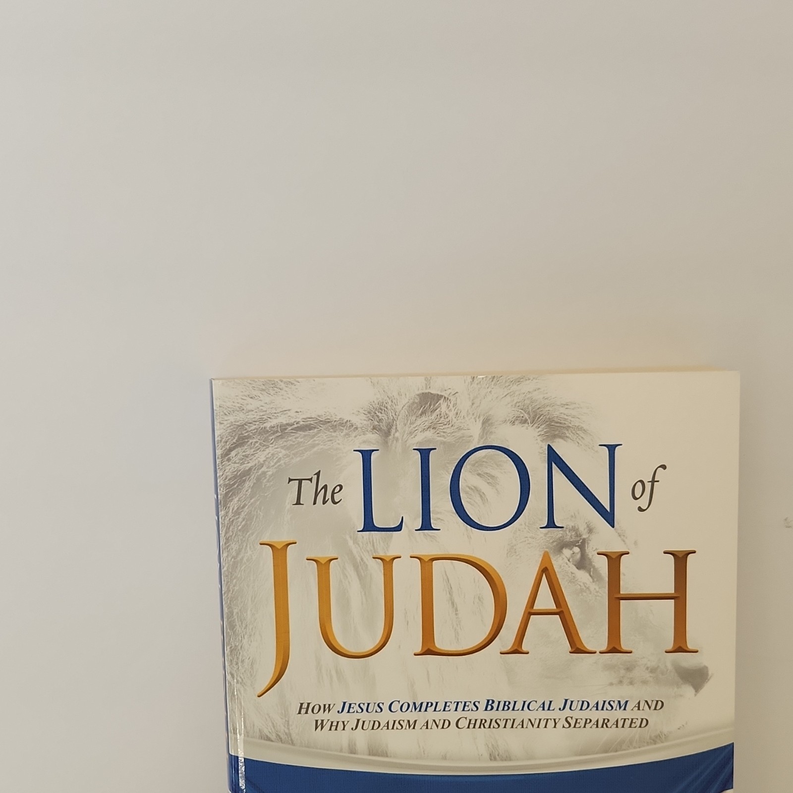 The Lion of Judah by Rabbi Kirt A. Schneider, Charisma House, Paperback