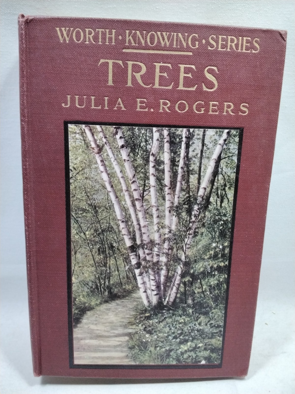 Trees Worth Knowing Little Nature Library By Julia E. Rogers 1st Edition 1917 HC