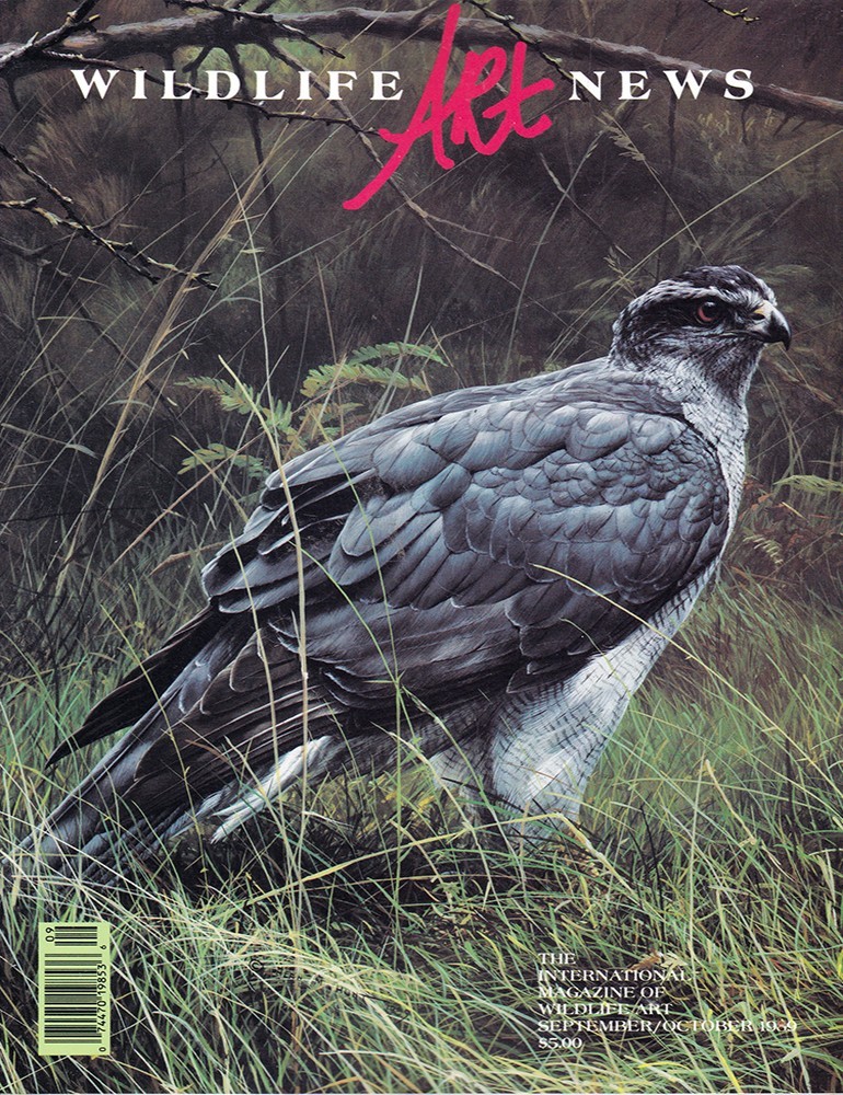 1989 WILDLIFE ART NEWS Full Year 6 Issues + 1990 & 1991 Artist Profile Yearbooks