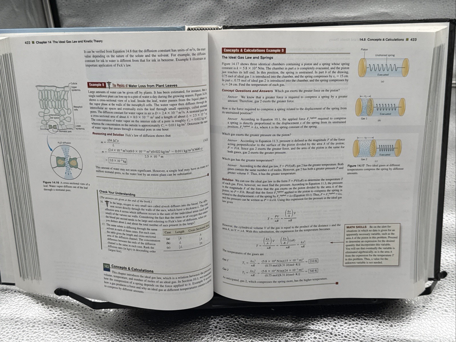 Cutnell, Physics, Ninth Edition Ser.: Physics by John D. Cutnell and Kenneth W.