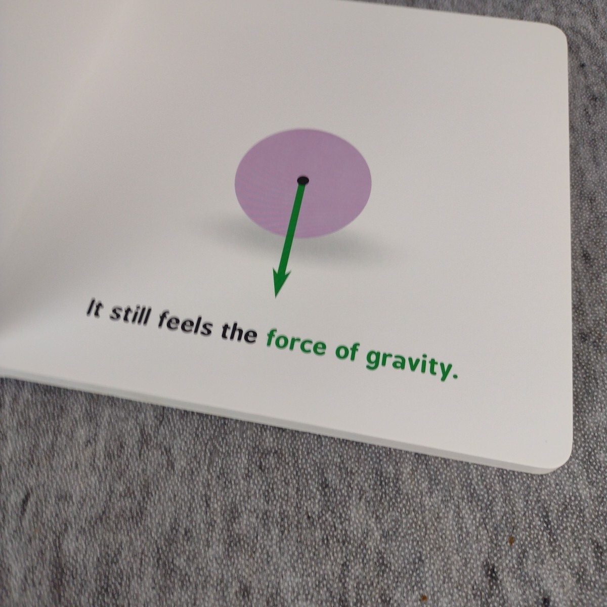 Baby University Ser.: Newtonian Physics for Babies by Chris Ferrie 2017