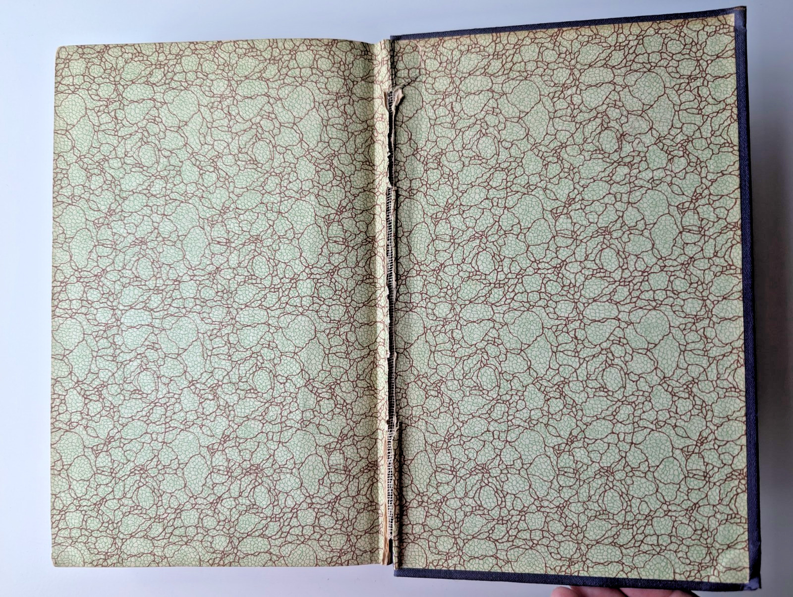 Yearbook of the U.S. Department of Agriculture, 1909 Illustrated Antique HC Book