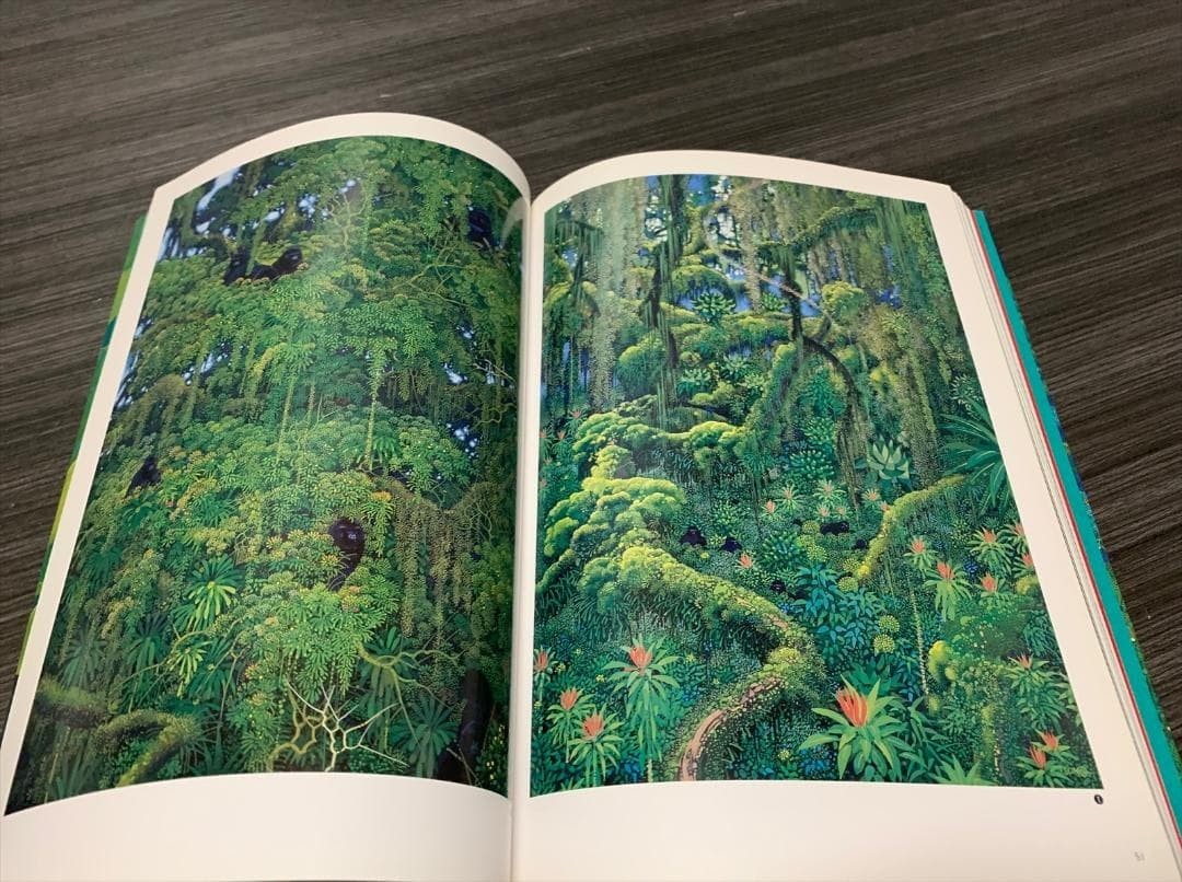 Art works Book of Emerald forest by Hiroo Isono EMERALD FOREST Art Illustration