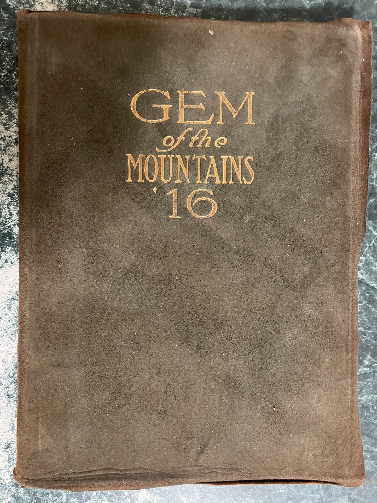 1917 University Idaho College Yearbook “Gem of Mountains”, 231 pages, Very Good