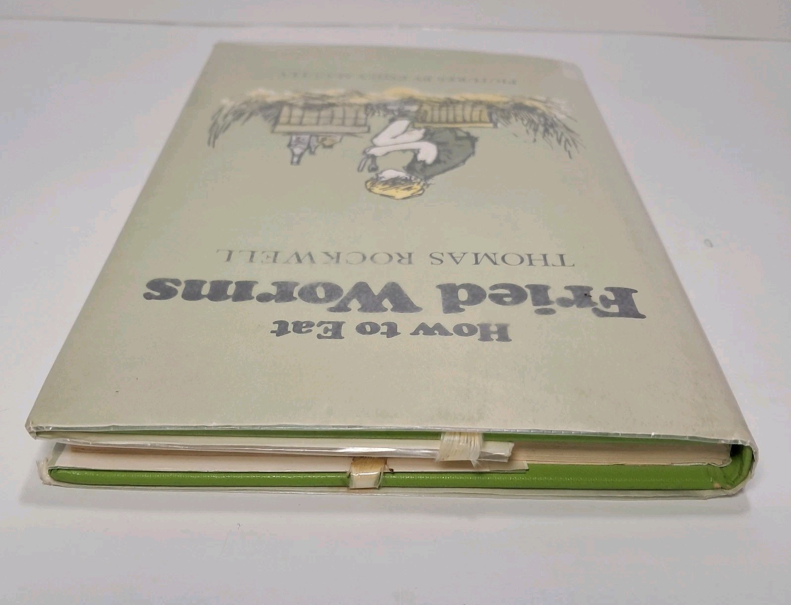 How to Eat Fried Worms by Thomas Rockwell – HC book DJ – 1973 1st Edition