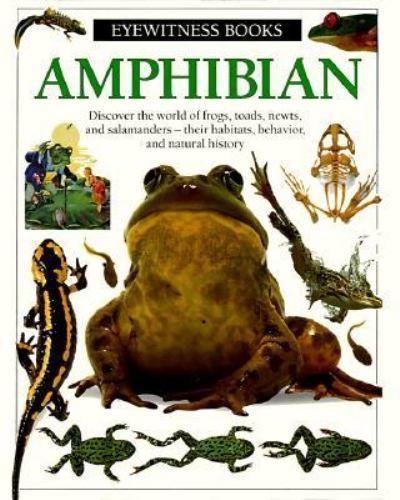 Amphibian by Barry Clarke